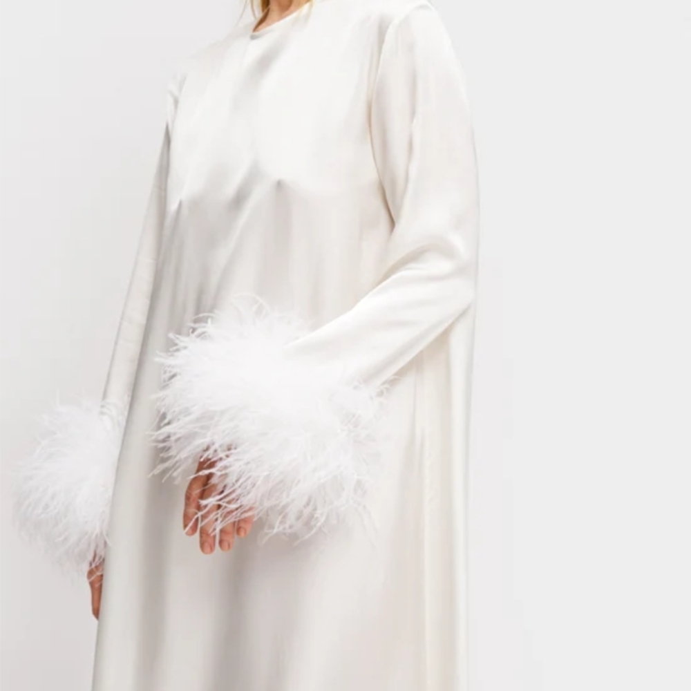Sleeper Suzi  Dress With Detachable Feathers - Picture 5 of 12